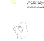 W23Od0113 A01.164 xxxx pP si f718.jpg